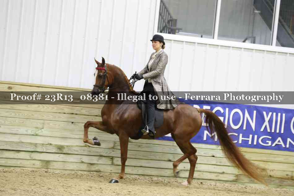 Proof 23R13_08381