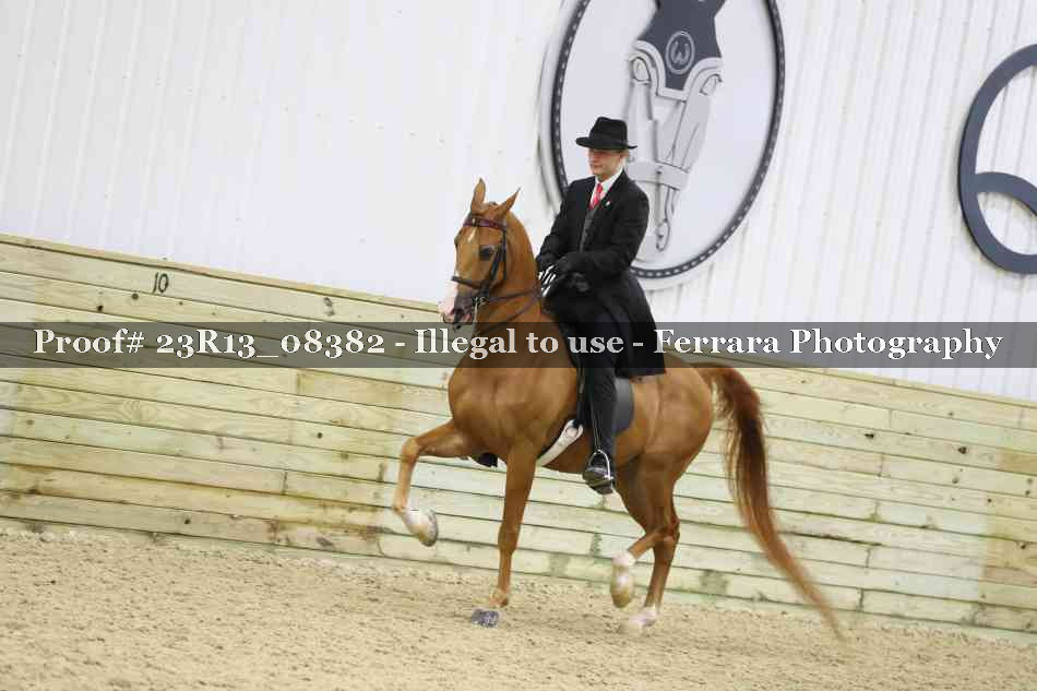 Proof 23R13_08382