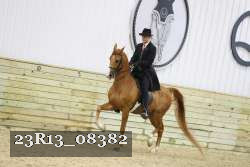 23R13_08382 proof