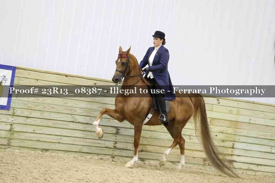 Proof 23R13_08387