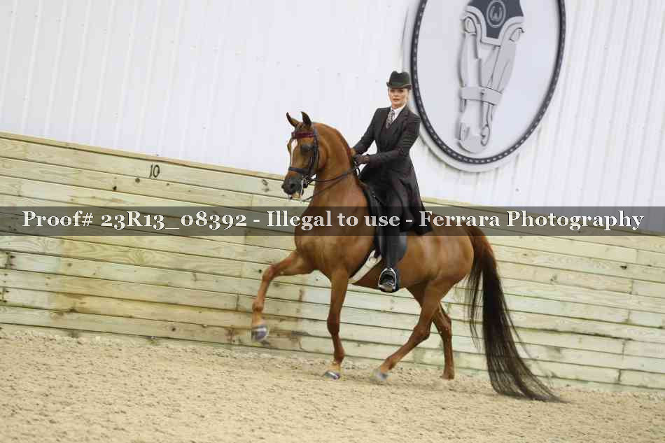 Proof 23R13_08392