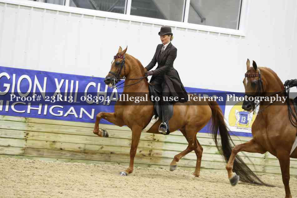 Proof 23R13_08394