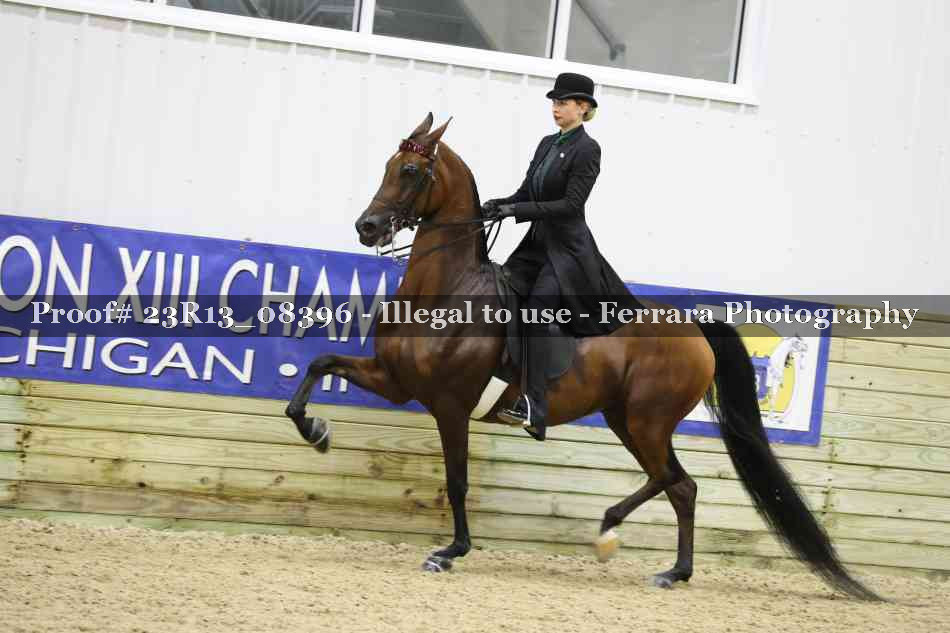 Proof 23R13_08396