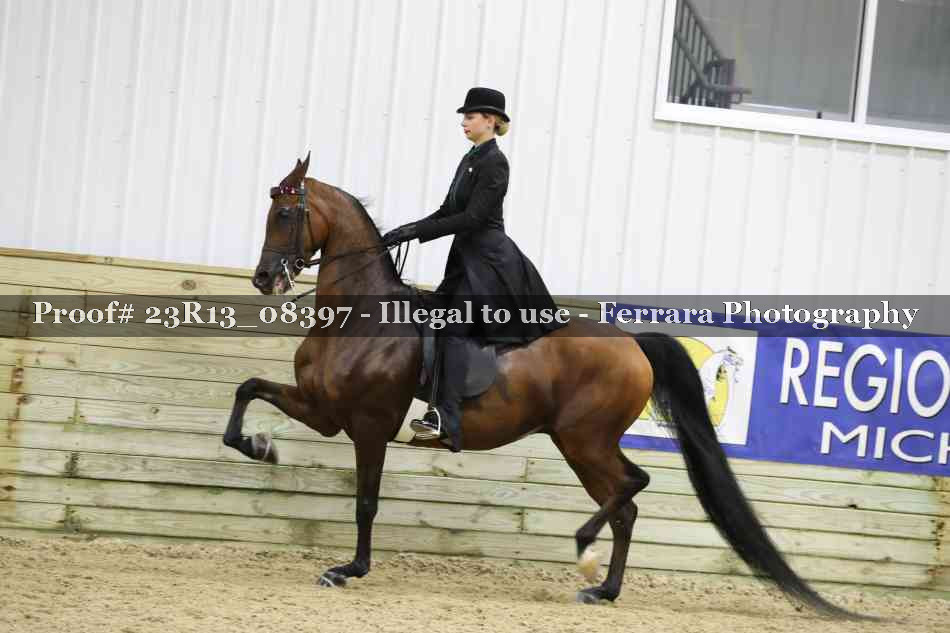Proof 23R13_08397