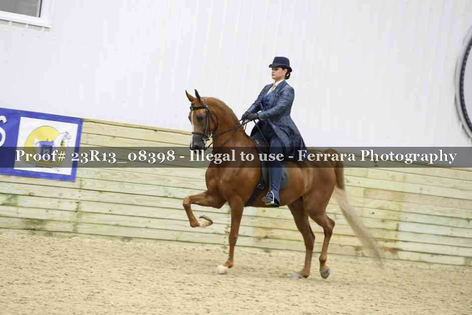 Proof 23R13_08398