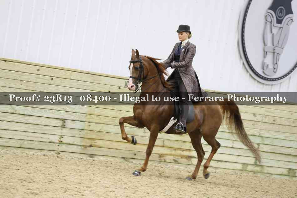 Proof 23R13_08400