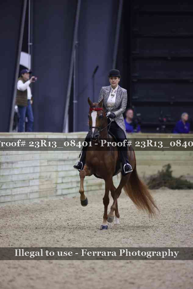 Proof 23R13_08401