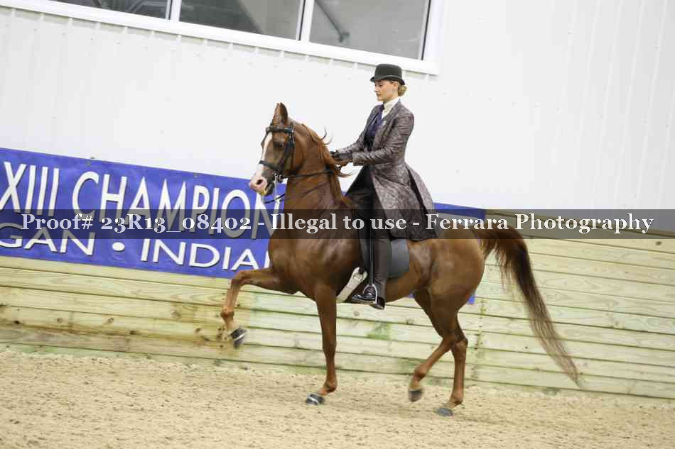 Proof 23R13_08402
