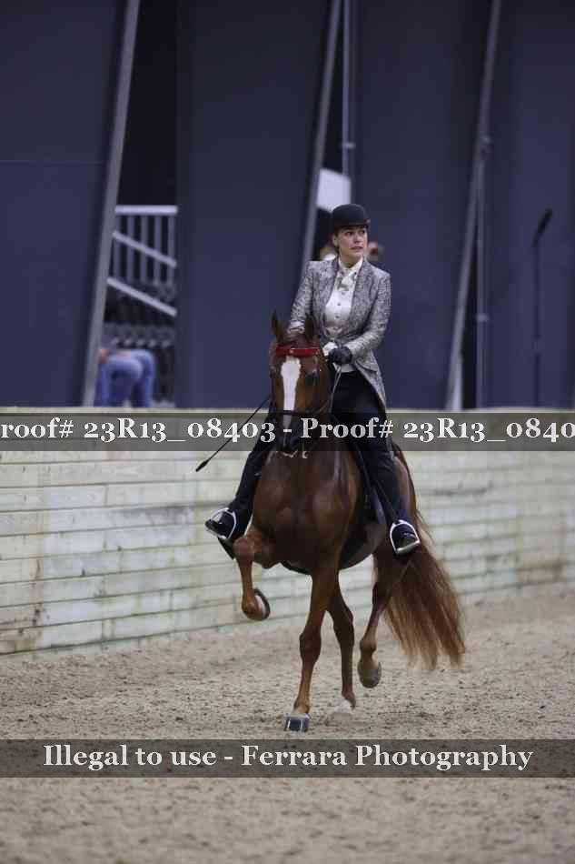 Proof 23R13_08403