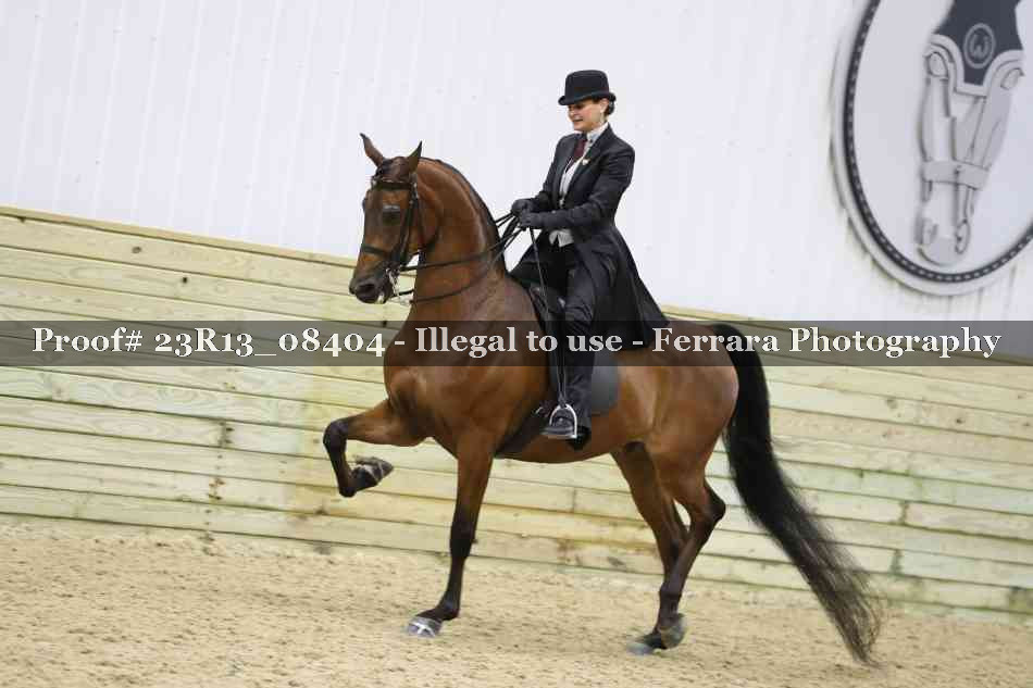 Proof 23R13_08404