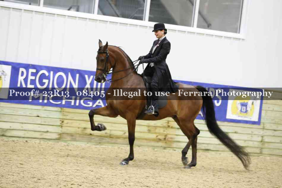 Proof 23R13_08405