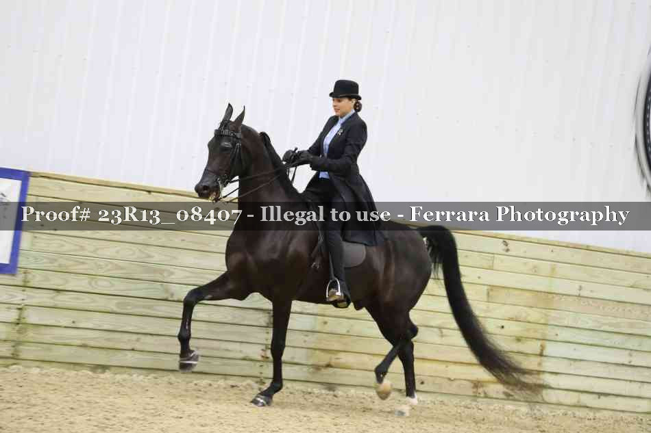 Proof 23R13_08407