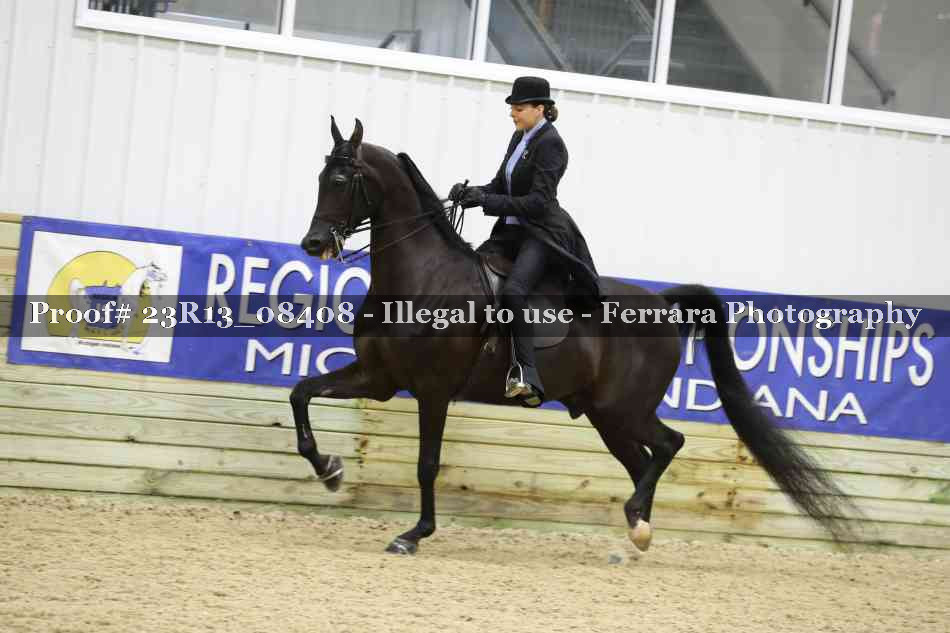 Proof 23R13_08408