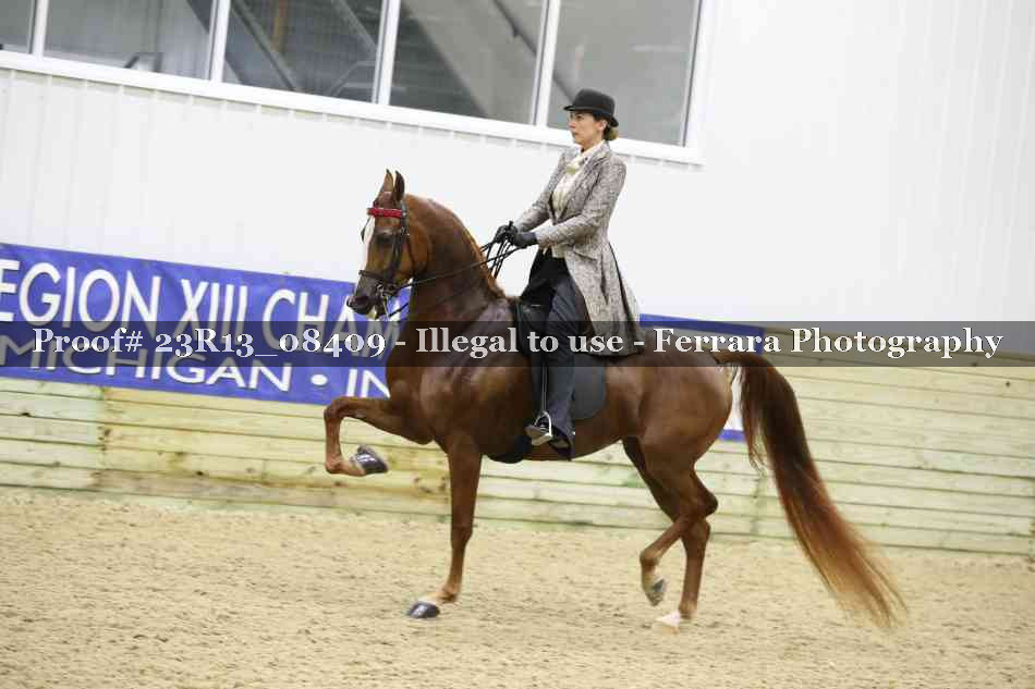 Proof 23R13_08409