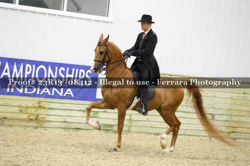 Proof 23R13_08412