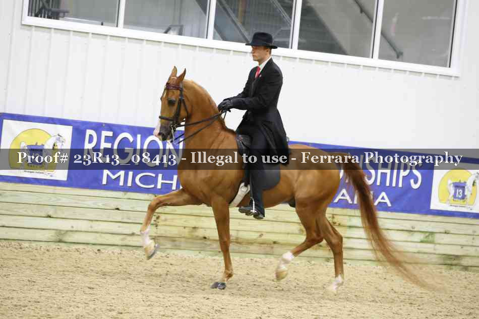 Proof 23R13_08413