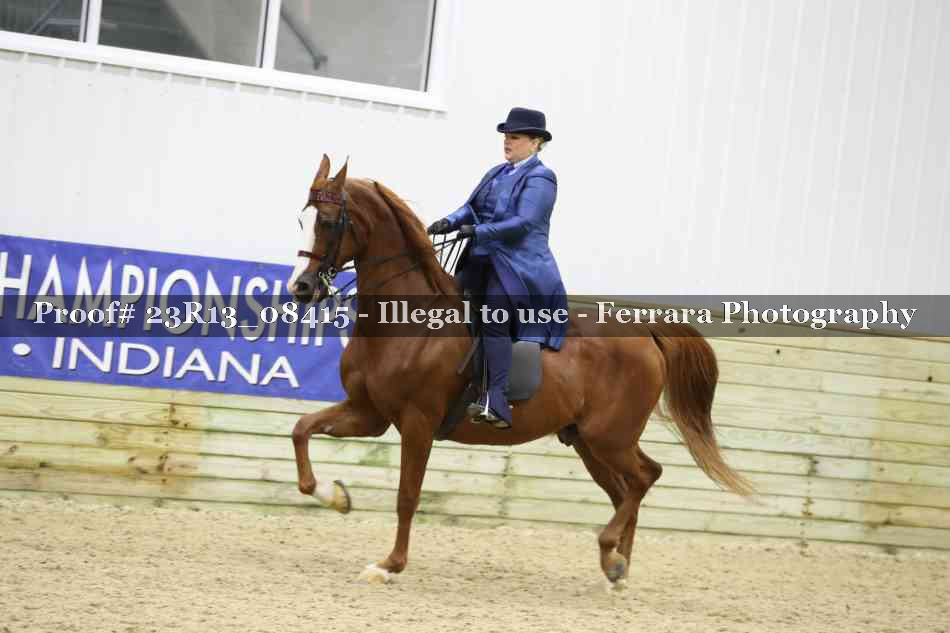 Proof 23R13_08415