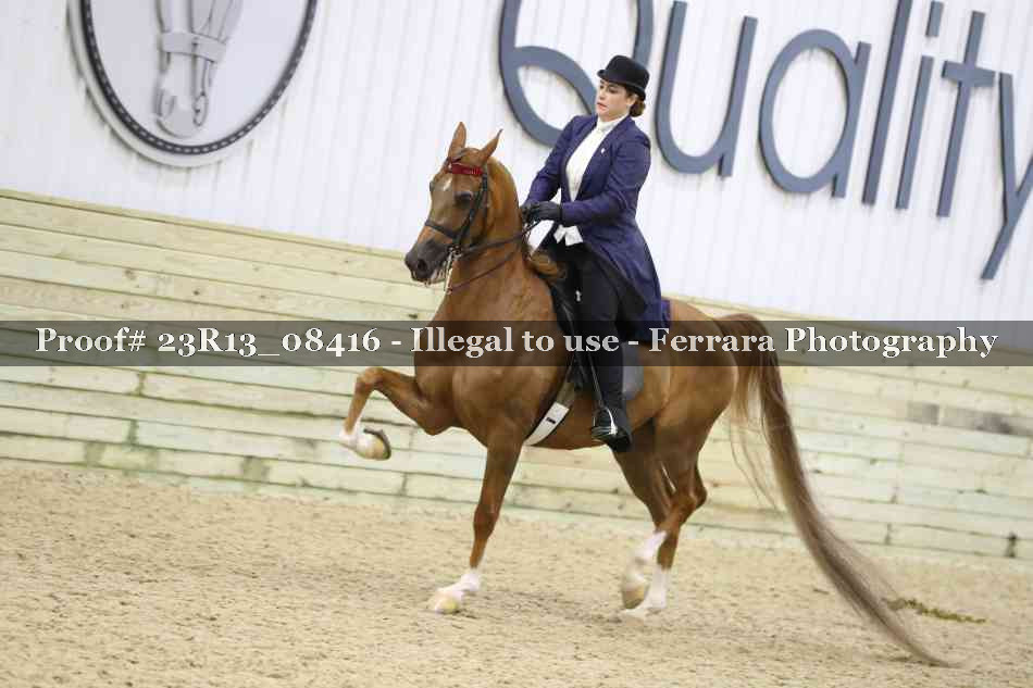 Proof 23R13_08416