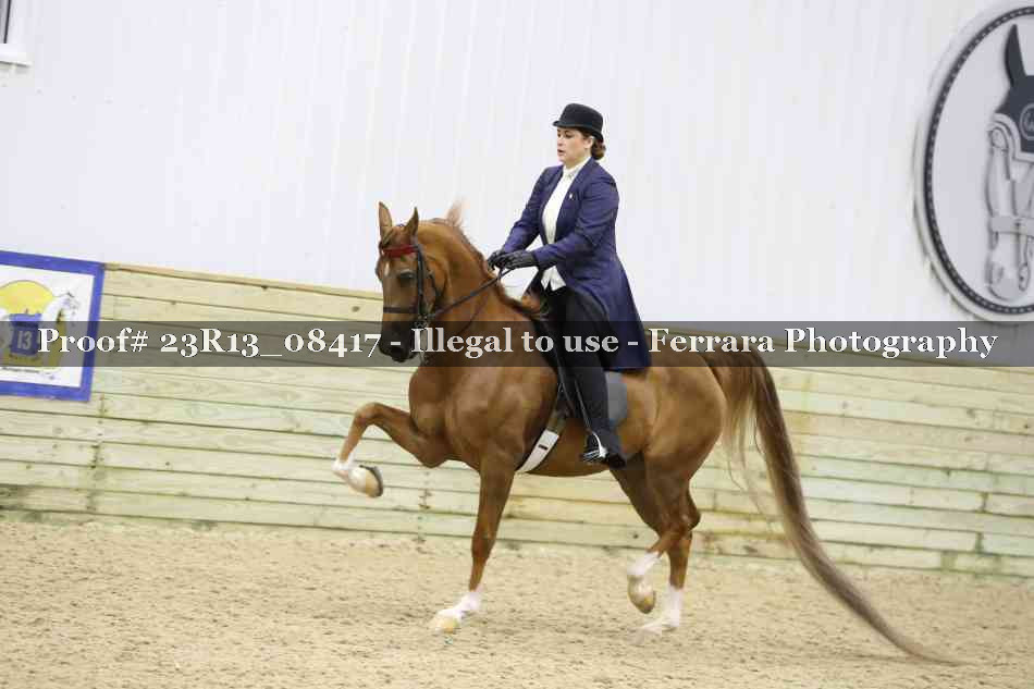 Proof 23R13_08417