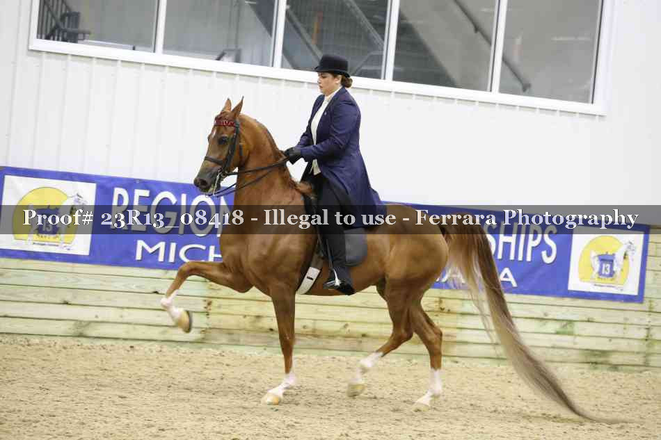 Proof 23R13_08418