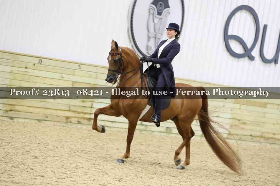 Proof 23R13_08421
