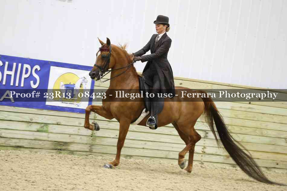 Proof 23R13_08423