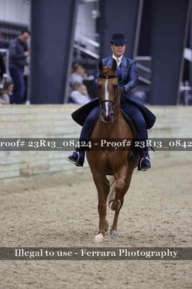 Proof 23R13_08424
