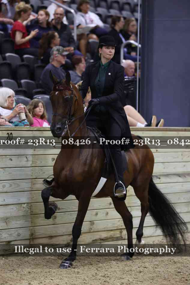 Proof 23R13_08426