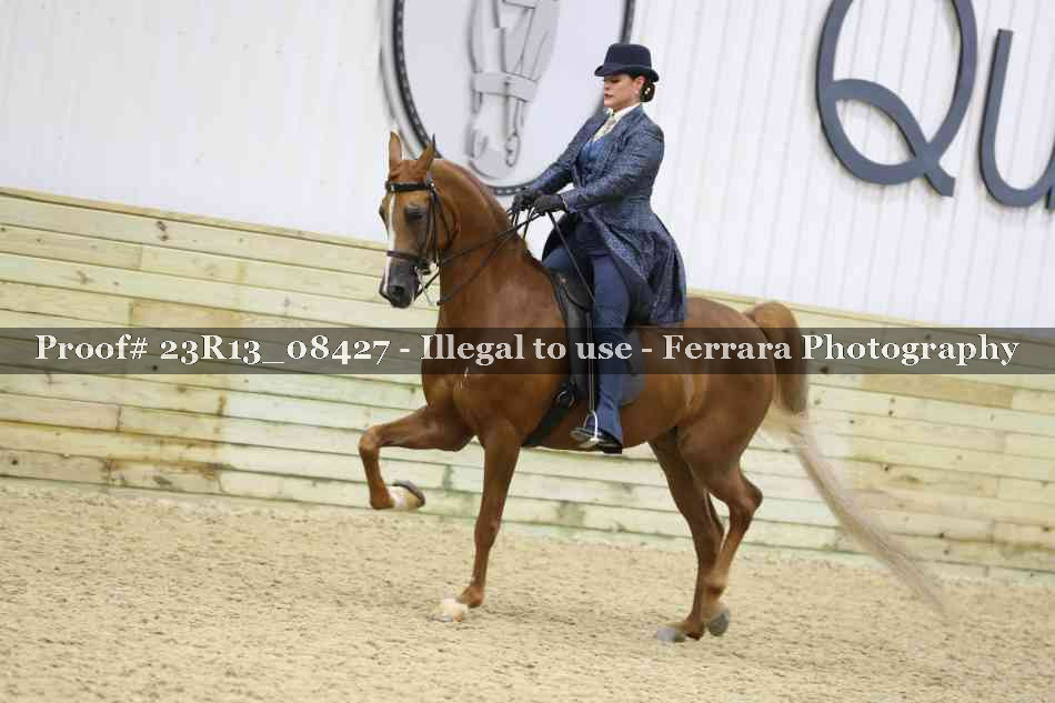 Proof 23R13_08427