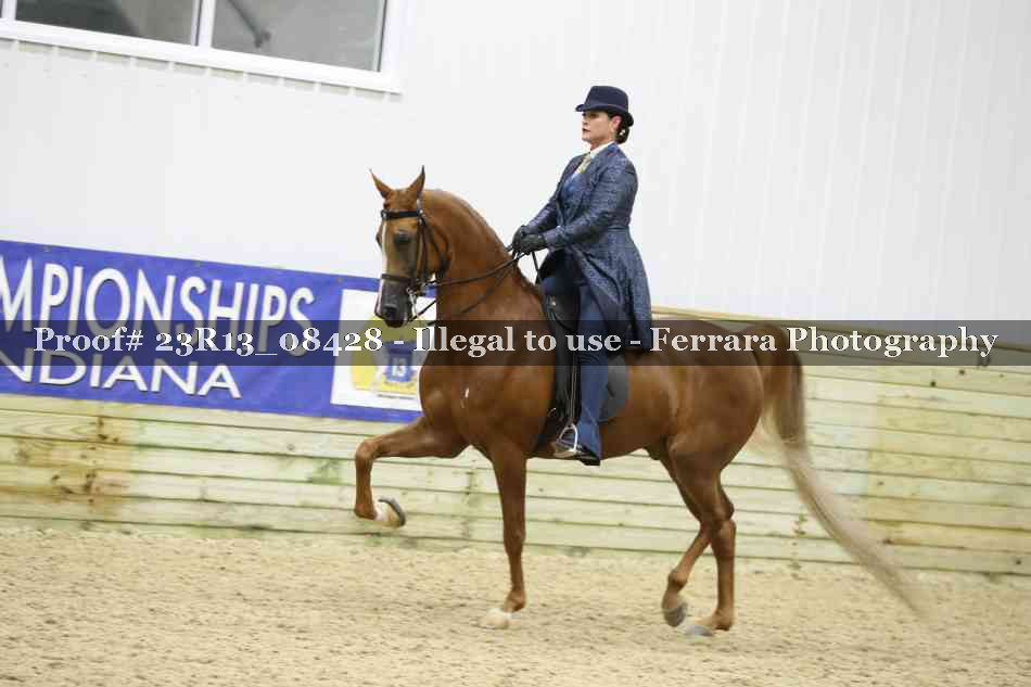 Proof 23R13_08428