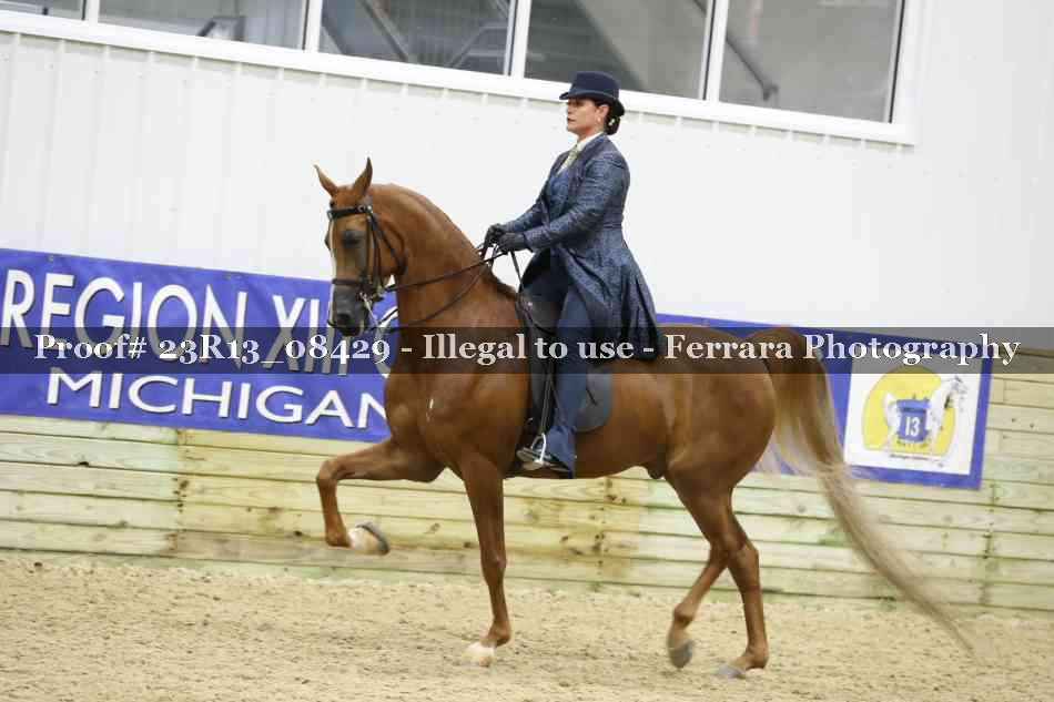 Proof 23R13_08429