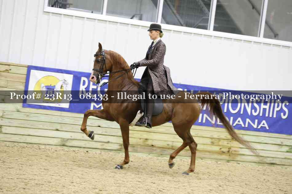 Proof 23R13_08433