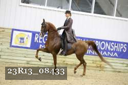 23R13_08433 proof