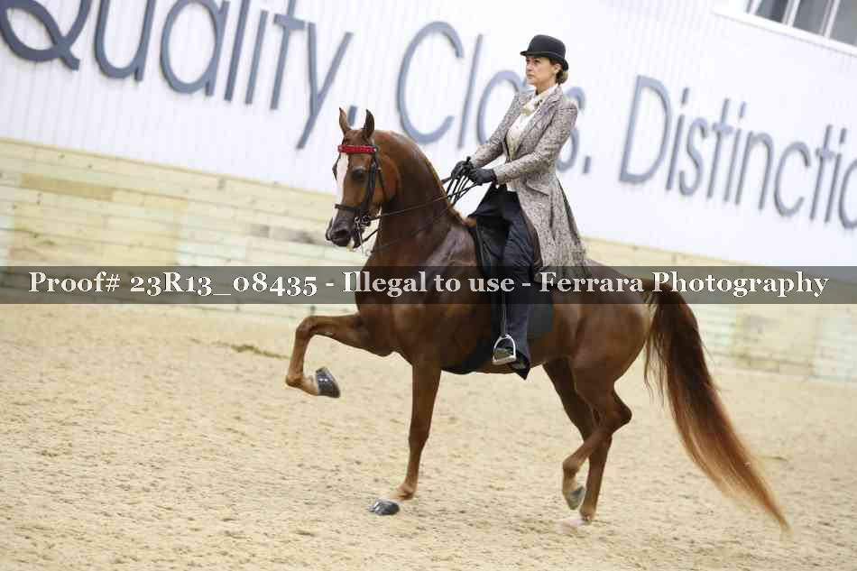 Proof 23R13_08435