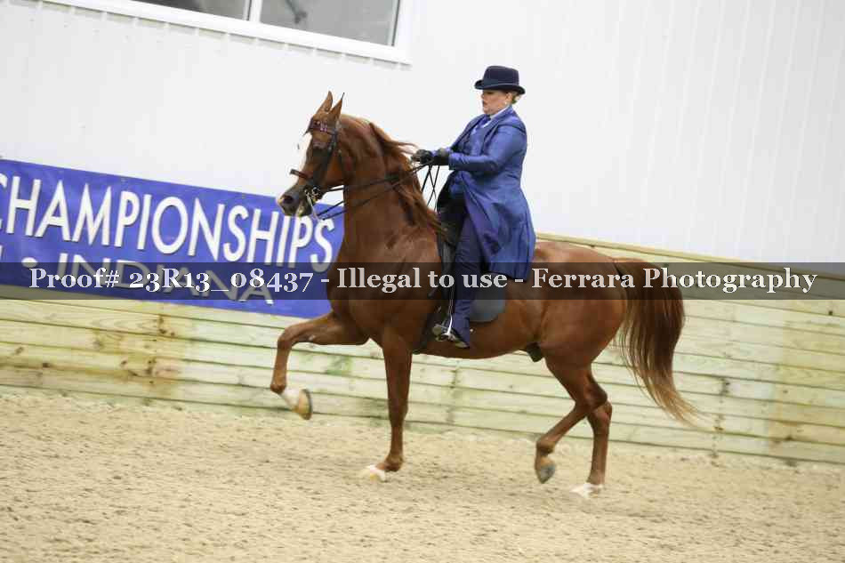 Proof 23R13_08437