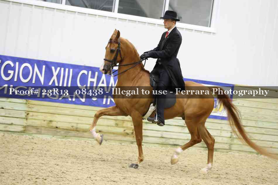 Proof 23R13_08438