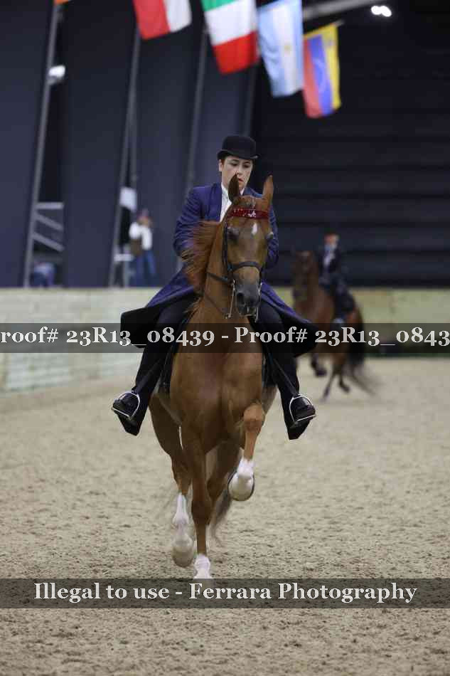 Proof 23R13_08439