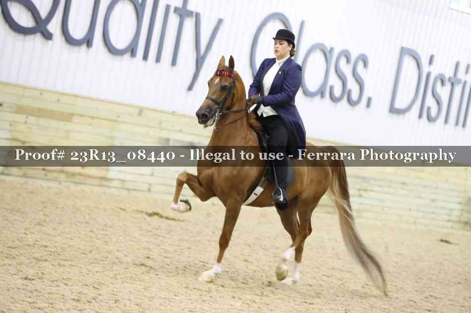 Proof 23R13_08440