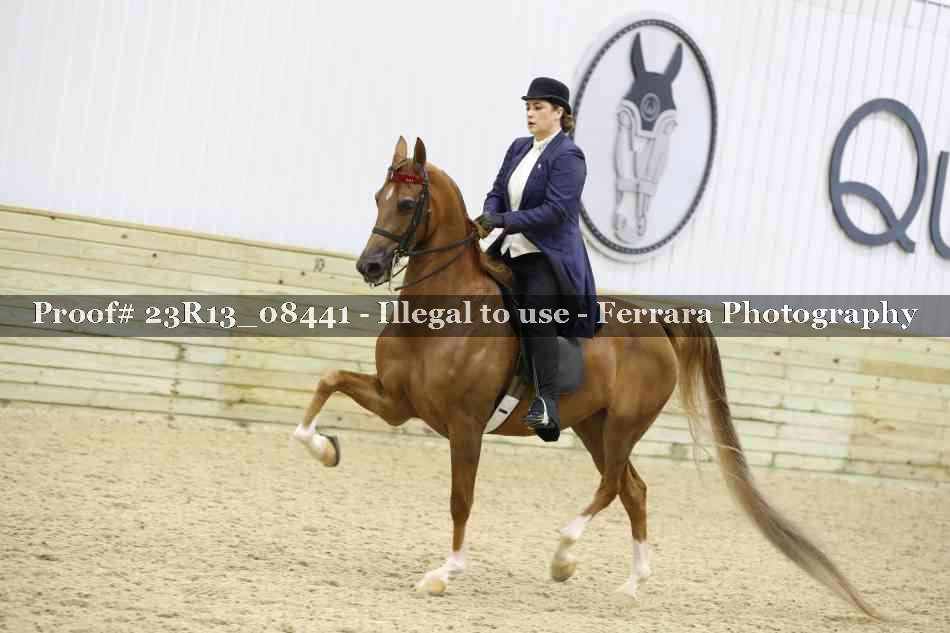 Proof 23R13_08441