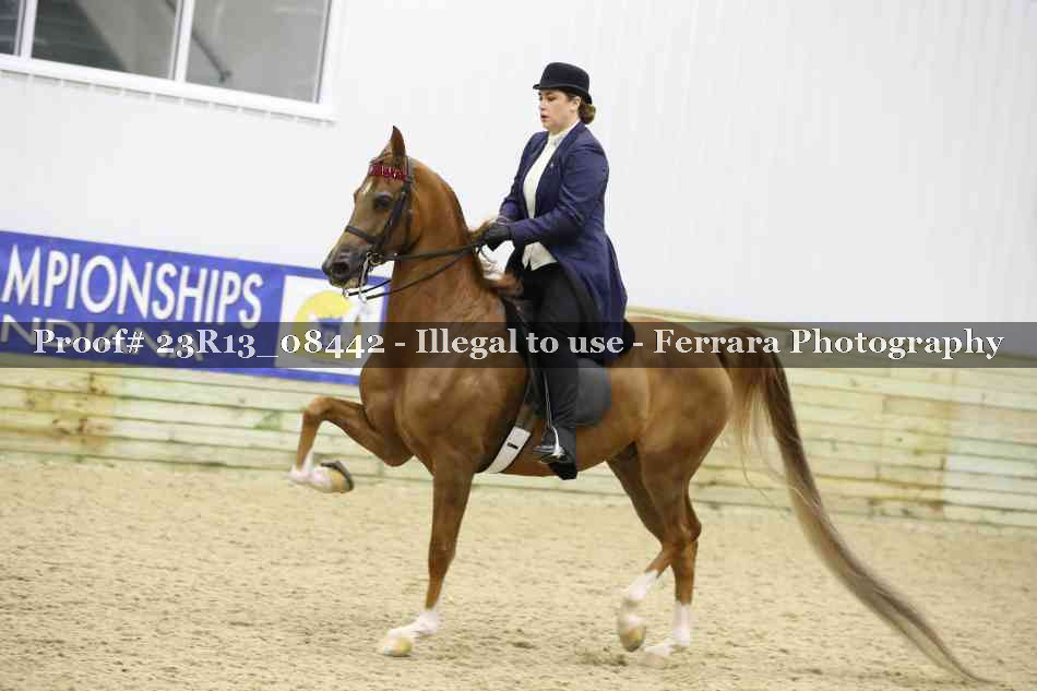 Proof 23R13_08442