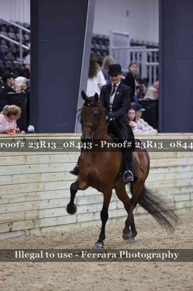 Proof 23R13_08443