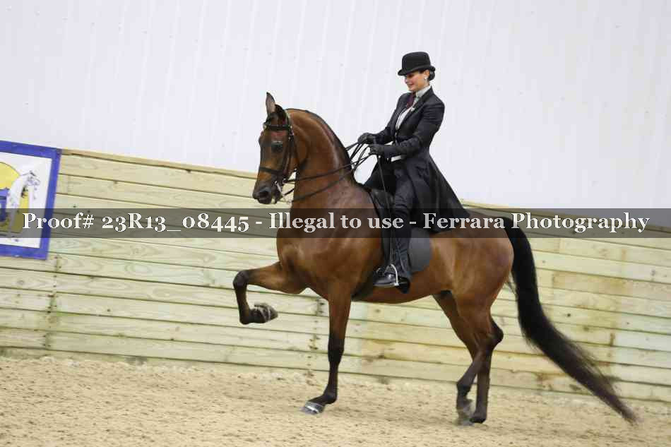 Proof 23R13_08445