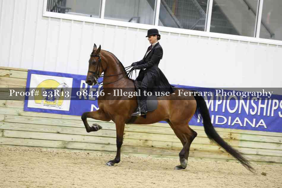 Proof 23R13_08446