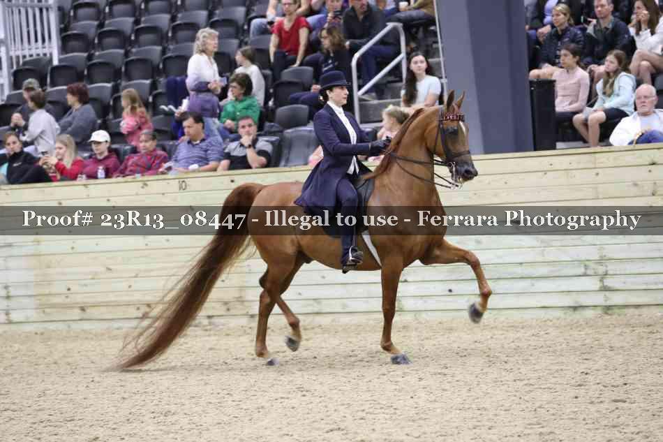 Proof 23R13_08447