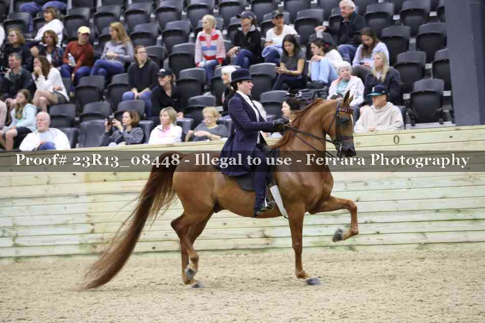 Proof 23R13_08448