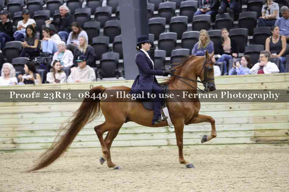 Proof 23R13_08449