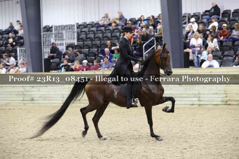 Proof 23R13_08451