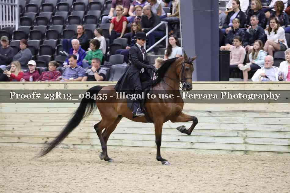 Proof 23R13_08455