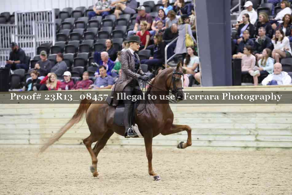 Proof 23R13_08457