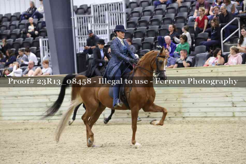 Proof 23R13_08458